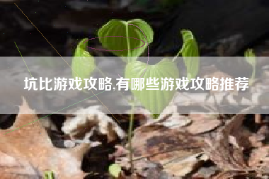 坑比游戏攻略,有哪些游戏攻略推荐