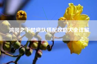 鸿图之下焚烧队搭配攻略大全详解