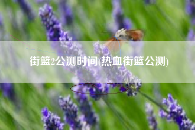 街篮2公测时间(热血街篮公测)