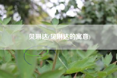 贝琳达(贝琳达的寓意)