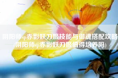 阴阳师sp赤影妖刀姬技能与御魂搭配攻略(阴阳师sp赤影妖刀姬值得培养吗)
