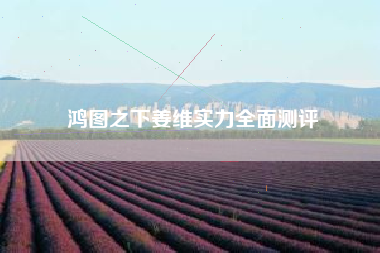 鸿图之下姜维实力全面测评