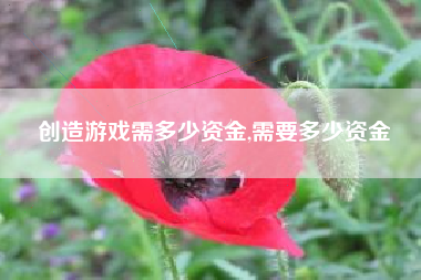创造游戏需多少资金,需要多少资金