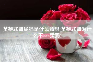 英雄联盟猛犸是什么意思(英雄联盟为什么不ban猛犸)