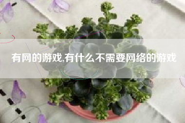 有网的游戏,有什么不需要网络的游戏