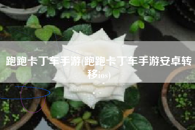 跑跑卡丁车手游(跑跑卡丁车手游安卓转移ios)