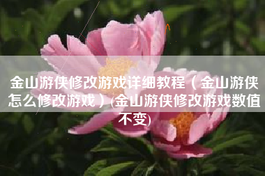 金山游侠修改游戏详细教程（金山游侠怎么修改游戏）(金山游侠修改游戏数值不变)