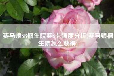 赛马娘SR桐生院葵S卡强度分析(赛马娘桐生院怎么获得)