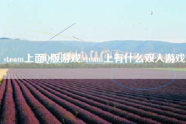 steam上面Q版游戏,steam上有什么双人游戏