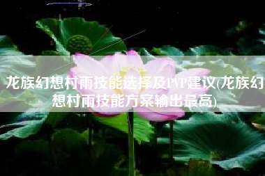 龙族幻想村雨技能选择及PVP建议(龙族幻想村雨技能方案输出最高)