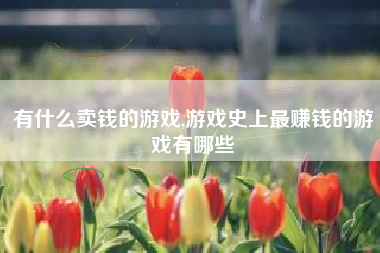 有什么卖钱的游戏,游戏史上最赚钱的游戏有哪些