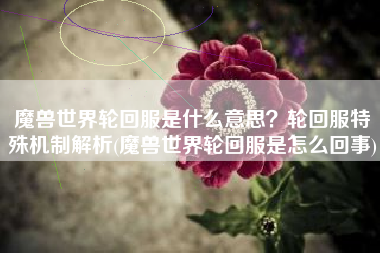 魔兽世界轮回服是什么意思？轮回服特殊机制解析(魔兽世界轮回服是怎么回事)