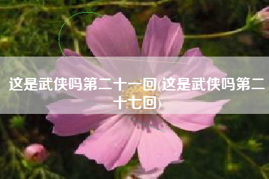这是武侠吗第二十一回(这是武侠吗第二十七回)