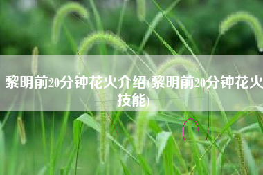 黎明前20分钟花火介绍(黎明前20分钟花火技能)