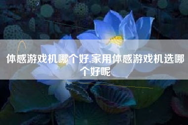 体感游戏机哪个好,家用体感游戏机选哪个好呢
