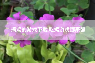 搞鸡的游戏下载,吃鸡游戏哪家强