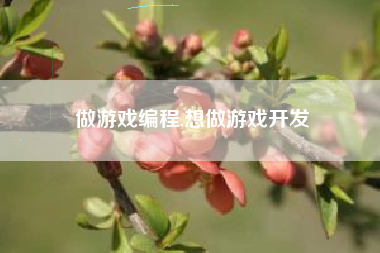 做游戏编程,想做游戏开发