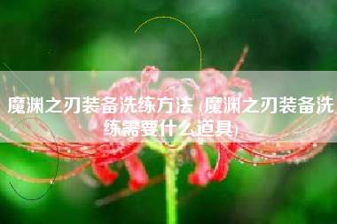 魔渊之刃装备洗练方法 (魔渊之刃装备洗练需要什么道具)