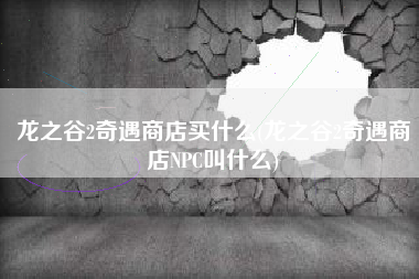 龙之谷2奇遇商店买什么(龙之谷2奇遇商店NPC叫什么)