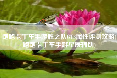 跑跑卡丁车手游胜之队GT3属性评测攻略(跑跑卡丁车手游星辰辅助)