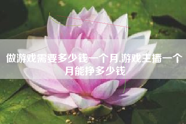 做游戏需要多少钱一个月,游戏主播一个月能挣多少钱
