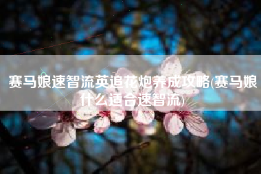 赛马娘速智流英追花炮养成攻略(赛马娘什么适合速智流)