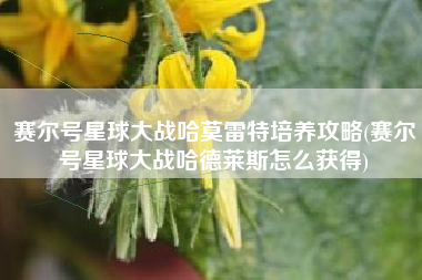 赛尔号星球大战哈莫雷特培养攻略(赛尔号星球大战哈德莱斯怎么获得)