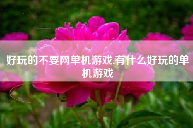 好玩的不要网单机游戏,有什么好玩的单机游戏
