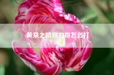 黄泉之路双刀哥怎么打