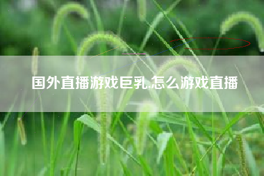 国外直播游戏巨乳,怎么游戏直播
