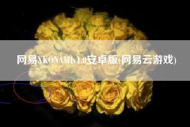 网易XKONAMIv1.0安卓版(网易云游戏)