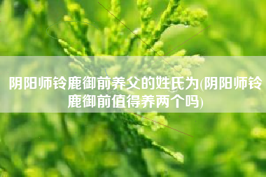 阴阳师铃鹿御前养父的姓氏为(阴阳师铃鹿御前值得养两个吗)