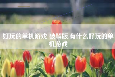 好玩的单机游戏 破解版,有什么好玩的单机游戏