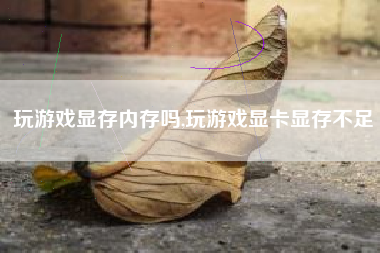 玩游戏显存内存吗,玩游戏显卡显存不足