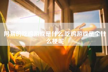 网易的吃鸡游戏是什么,吃鸡游戏是个什么梗呢