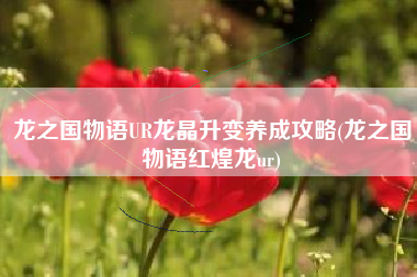 龙之国物语UR龙晶升变养成攻略(龙之国物语红煌龙ur)