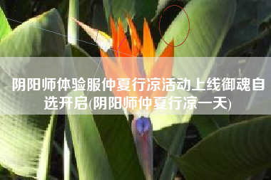 阴阳师体验服仲夏行凉活动上线御魂自选开启(阴阳师仲夏行凉一天)