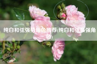 纯白和弦强势角色推荐(纯白和弦最强角色)