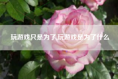 玩游戏只是为了,玩游戏是为了什么