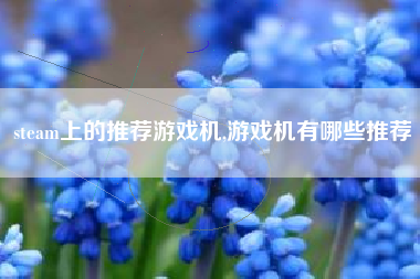 steam上的推荐游戏机,游戏机有哪些推荐