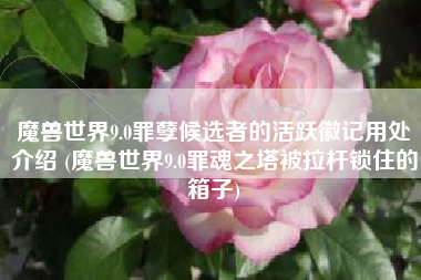 魔兽世界9.0罪孽候选者的活跃徽记用处介绍 (魔兽世界9.0罪魂之塔被拉杆锁住的箱子)