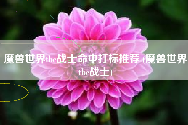 魔兽世界tbc战士命中打标推荐 (魔兽世界tbc战士)