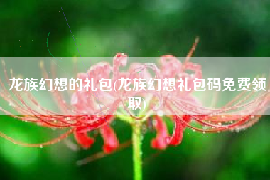 龙族幻想的礼包(龙族幻想礼包码免费领取)