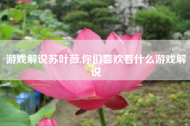 游戏解说苏叶薇,你们喜欢看什么游戏解说