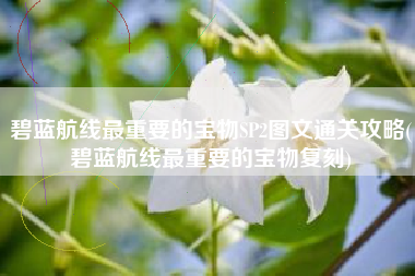 碧蓝航线最重要的宝物SP2图文通关攻略(碧蓝航线最重要的宝物复刻)