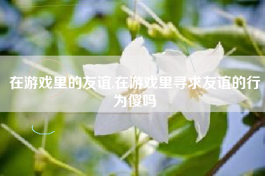 在游戏里的友谊,在游戏里寻求友谊的行为傻吗