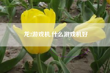 龙2游戏机,什么游戏机好
