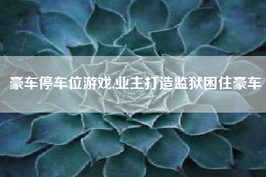 豪车停车位游戏,业主打造监狱困住豪车