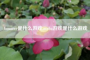bouncer是什么游戏,moba游戏是什么游戏