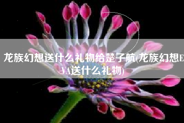 龙族幻想送什么礼物给楚子航(龙族幻想EVA送什么礼物)